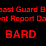 BARD icon