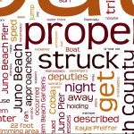 Gabby DeSouza Propeller Accident Breaking News Reports Wordle zoom