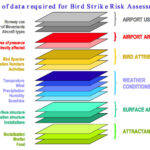 Bird Strike Risk Assessment chart