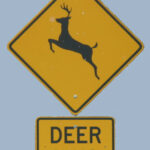 Deer Crossing sign