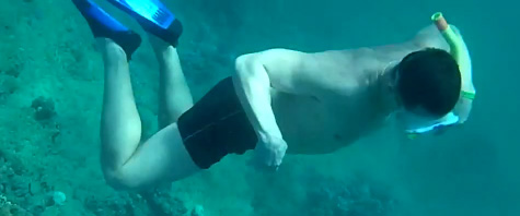 Diver Snorkeling Before Struck