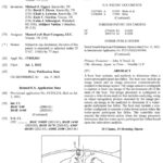Mastercraft patent detects fallen skiers. U.S. Patent 12,024,269.