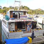Pacific Hideaway catamaran