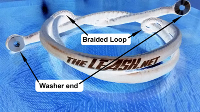 The Leash, labeled image.