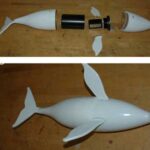 Whale Model