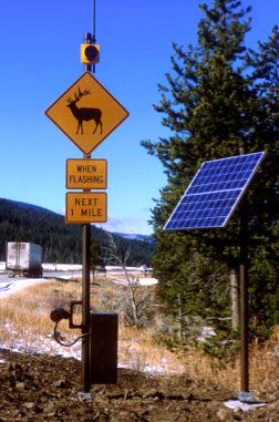 Automated Wildlife Crossing Sign